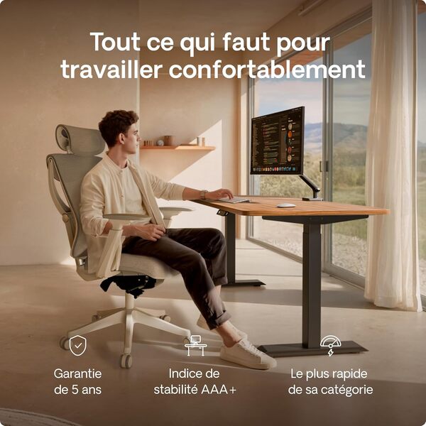 Desktronic Bureau Assis Debout Électrique 120x60cm - Bureau Réglable en Hauteur à Moteurs Électriques Doubles - Commande Tactile - USB - Mémoire - Plateau Bois Européen - Table Assis-Debout