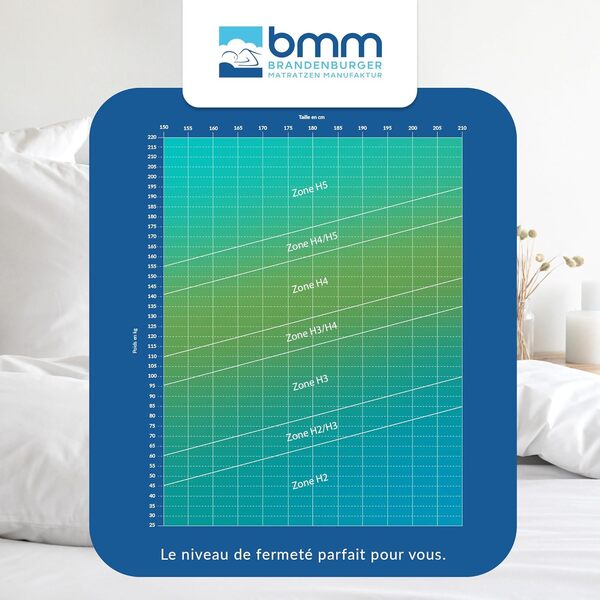 BMM Matelas Comfort 23 140x200 cm H3 Ferme en Mousse Froide Certifié Öko-Tex - Ergonomique à 7 Zones, Hauteur 23 cm - Fabriqué en Allemagne
