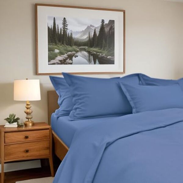 Découvrez notre avis sur la parure de lit Danville Home, alliant élégance et confort en 100 % coton. Parfaite pour sublimer votre chambre, elle assure douceur et bien-être.