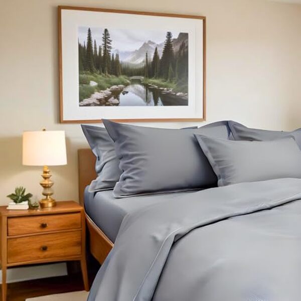 Découvrez notre avis détaillé sur la parure de lit Danville Home élite en coton : confort, qualité et design au rendez-vous pour embellir votre chambre